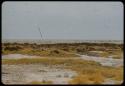 Animals on Etosha Pan, distant view