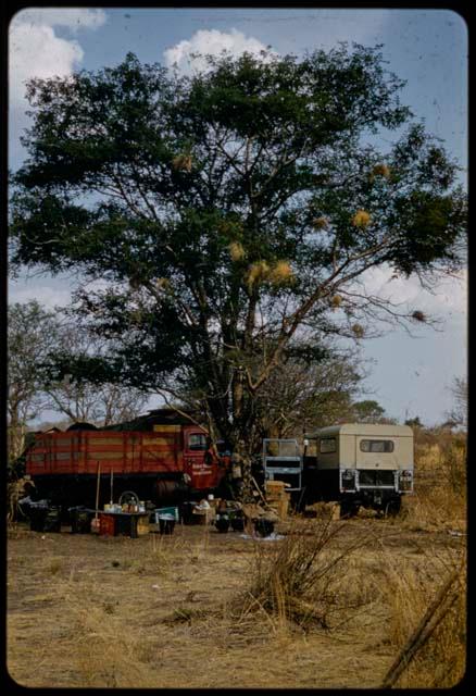 Expedition camp, with trucks parked under a tree, cooking pots on the ground next to them