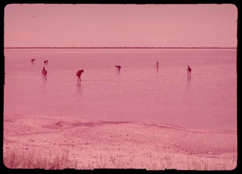 People bathing in a water-filled pan, distant view