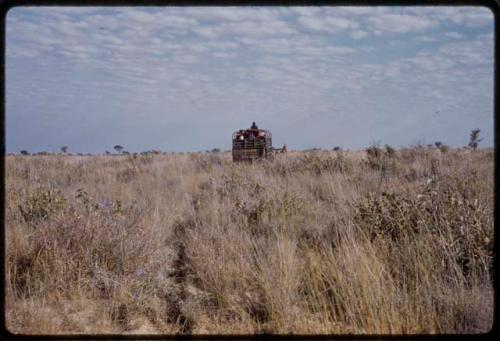 Expedition truck driving in a field of grass, in the distance