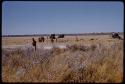 Expedition members and trucks by a waterhole, in the distance