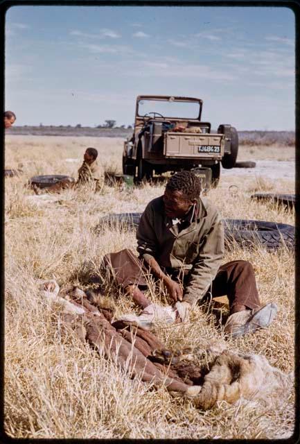 /Gishay sitting by a truck, scraping a lion skin