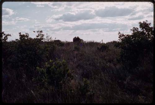 Landscape, expedition truck in the distance