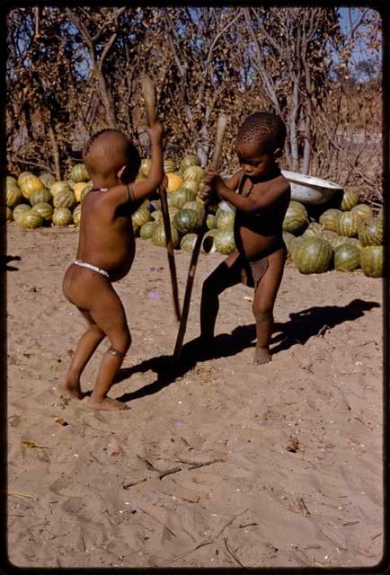 Two children digging at the ground with digging sticks