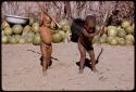 Two children digging at the ground with digging sticks