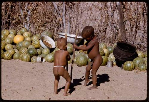 Two children digging at the ground with digging sticks