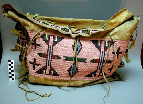 Woman's skin carrying case--beadwork decoration