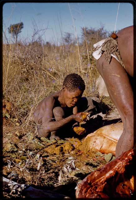 Oukwane squeezing gemsbok, head of photographer shows