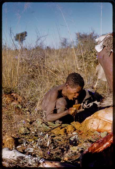 Oukwane squeezing gemsbok, head of photographer shows