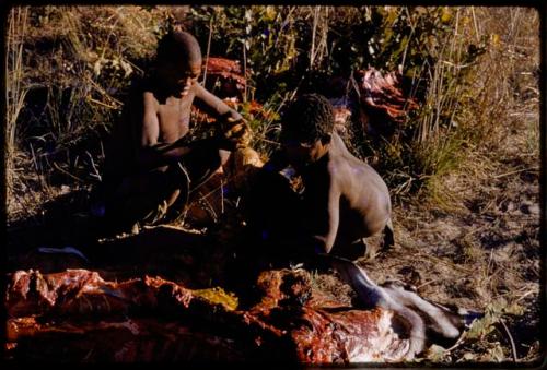 Oukwane and Gai butchering a gemsbok