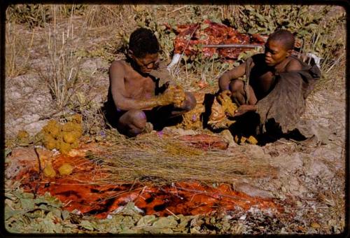 Oukwane and Gai squeezing gemsbok rumen over grass sieve