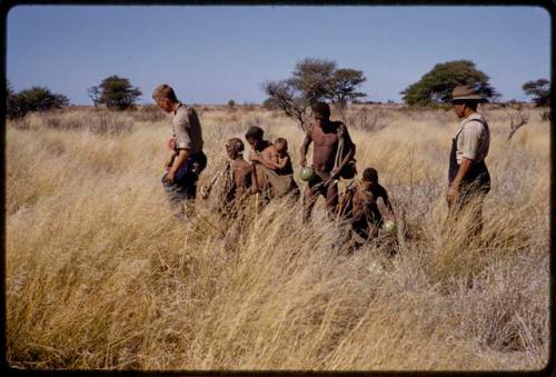 Gai, Tsekue, /Twikwe and children gathering tsama melons, John Marshall and Wilhelm Camm standing nearby