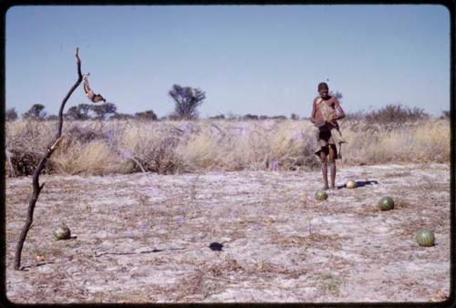 /Twikwe holding a bowl and walking through a field with tsama melons