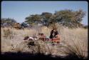 Elizabeth Marshall Thomas sitting at bench listening to sound recordings