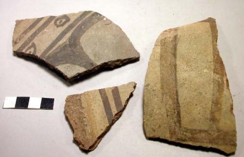 5 black on white painted ware potsherds