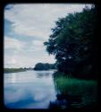 Trees along the bank of the Kavango River