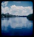 Trees along the banks of the Kavango River