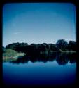 Trees along  the bank of the Kavango River