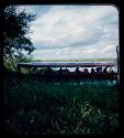 Group of people riding in a barge near the bank of the Okavango River