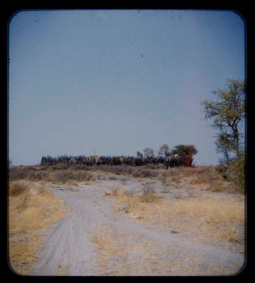 View of kraal and road along the Kavango River