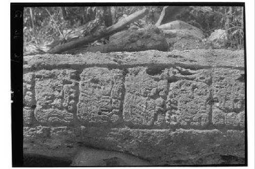 Stela 14 - left