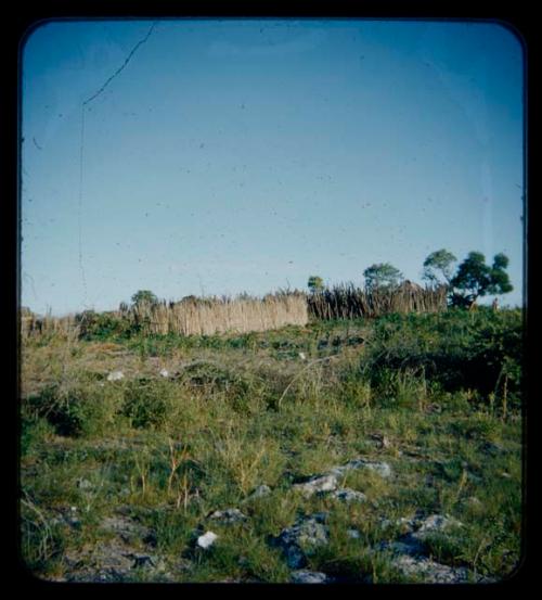 View of kraal along the Kavango River