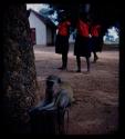 Three girls standing inside a kraal along the Okavango River, with a monkey on a chain sitting on a log in the foreground