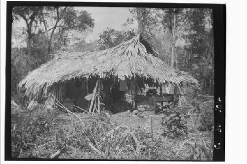 Camp on way to Rio Hondo