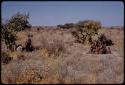 Group gathered for Oukwane's dance, John Marshall and expedition members filming at a distance