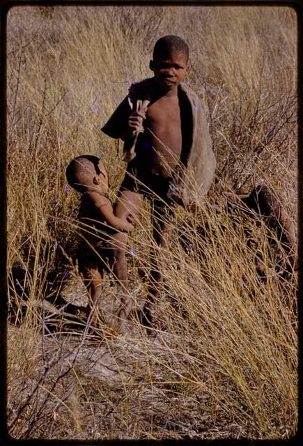 N!whakwe grabbing /Oukabe's leg