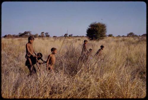 Boys playing "horse"