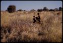 Boys playing "horse"