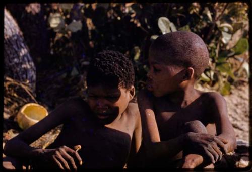 Two boys sitting, close-up