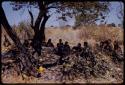 People sitting under a tree, a group visiting Oukwane's family