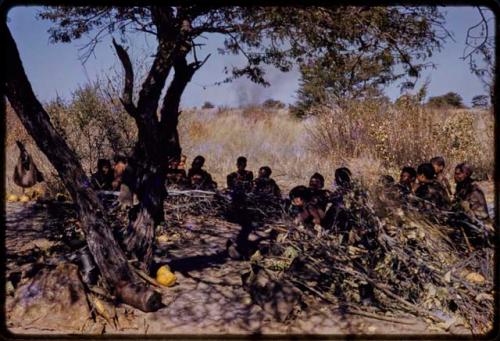 People sitting under a tree, a group visiting Oukwane's family