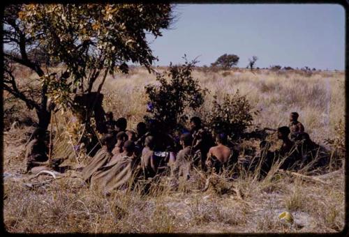 People sitting under a tree, a group visiting Oukwane's family