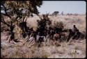 People sitting under a tree, a group visiting Oukwane's family