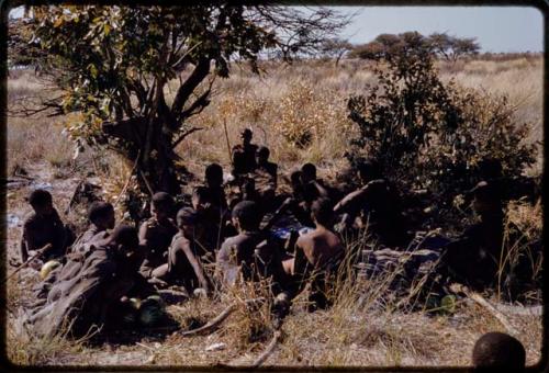 People sitting under a tree, a group visiting Oukwane's family