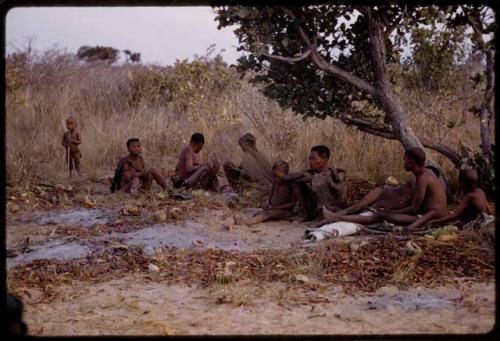 People sitting, bean pods on the ground