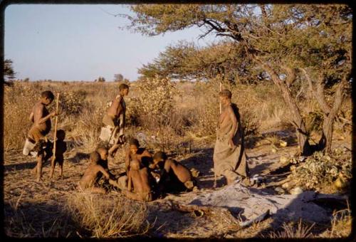 Group of people sitting together, women walking with digging sticks in the background