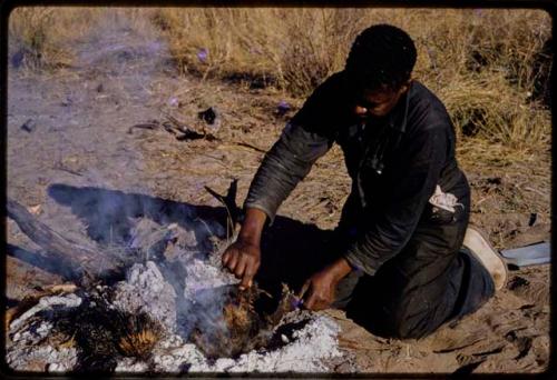 Philip Hameva cooking springbok joint in hide