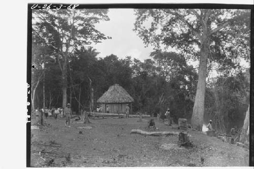 Benque Ceiba