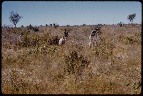 John Marshall filming a gemsbok, Elizabeth Marshall Thomas and Theunis Berger watching