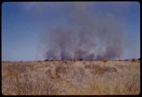 Fire on horizon seen over open veld