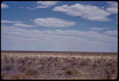 Landscape, sky and brush