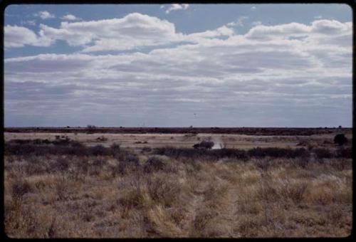 Expedition truck driving down a road, in the distance