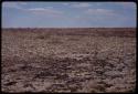 Landscape, burned ground and grass