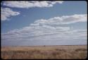 Landscape, blue sky and grass