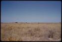 Landscape, blue sky and grass