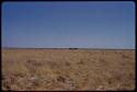 Landscape, blue sky and grass